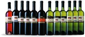 Italiaanse wijnen van Gaggioli vini. Bestel de heerlijke Pignoletto (wit) en andere heerlijke D.O.C. wijnen van de Colli Bolognesi (vini rosso, rosato e bianchi) bij Italimporta.